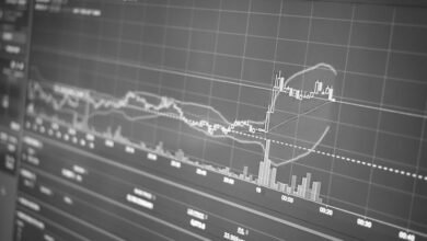 maximize your online growth